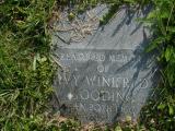image of grave number 155551